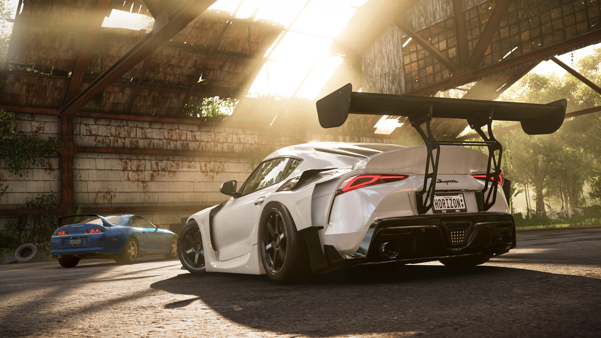 极限竞速：地平线5/Forza Horizon 5/支持网络联机