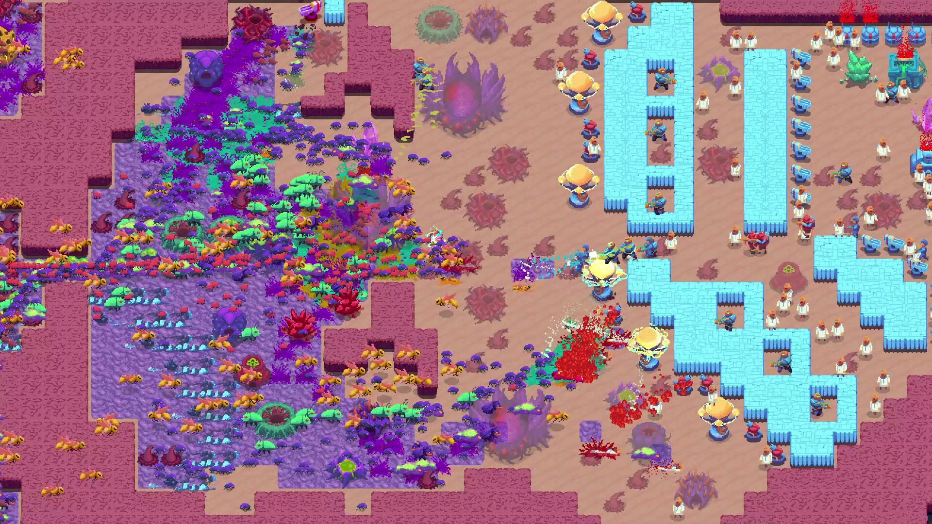 虫群霸主2/Buggos 2 虫群霸主2/Buggos 2