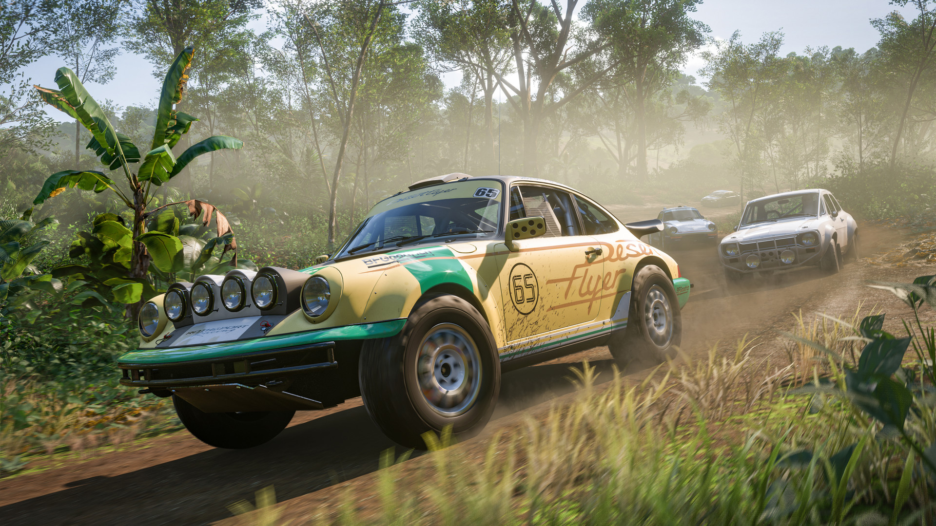 极限竞速：地平线5/Forza Horizon 5/支持网络联机