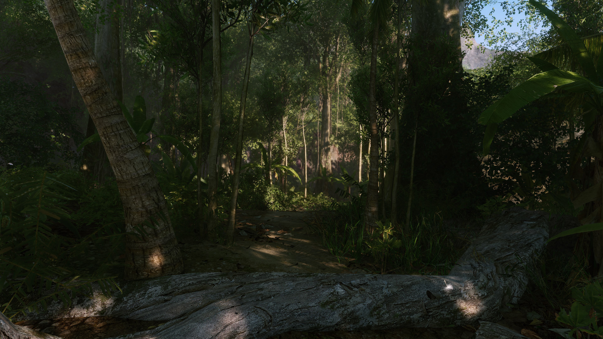 孤岛危机：重制版/Crysis Remastered-品正游戏资源