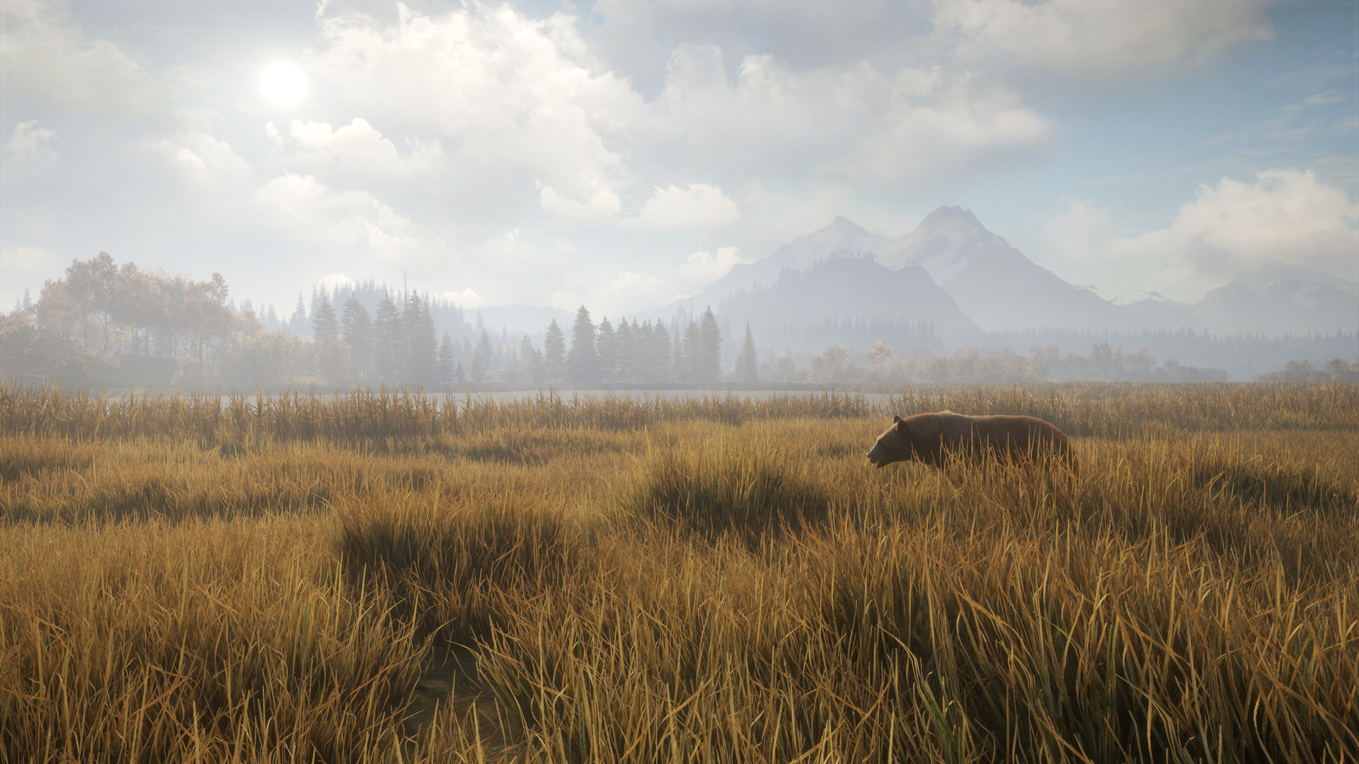 猎人：荒野的召唤/theHunter: Call of the Wild/支持网络联机